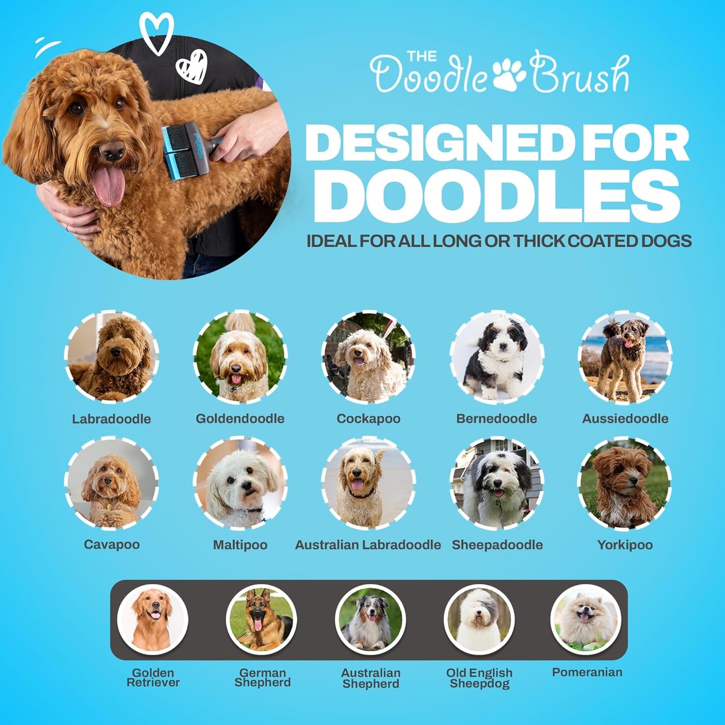 , Slicker Brush for Dogs, Dual Head Dog Hair Brushes, Flexible Head Slicker for Dogs, Poodle, Labradoodle, Sheepadoodle, Tangle-Free Grooming, Healthy & Shiny Coat Pet Brushes